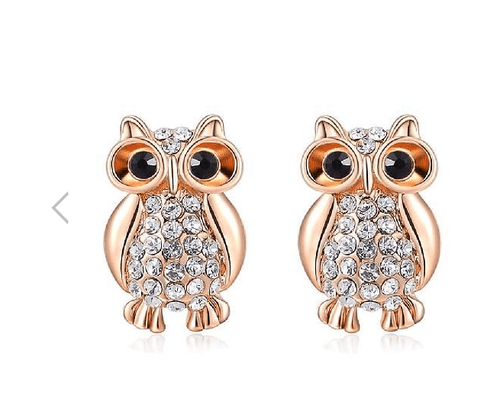 Load image into Gallery viewer, Fashion Owl Earrings
